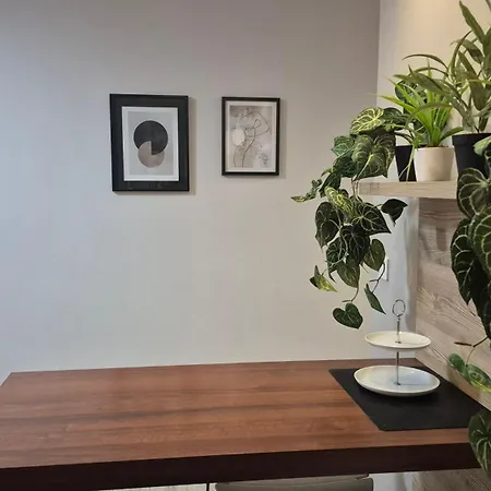 Apartament Neptun Apartment Olsztyn (Warmian-Masurian)